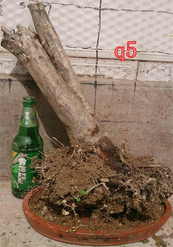 下山桩怎么截口处理 抹切口的2种方法 图片