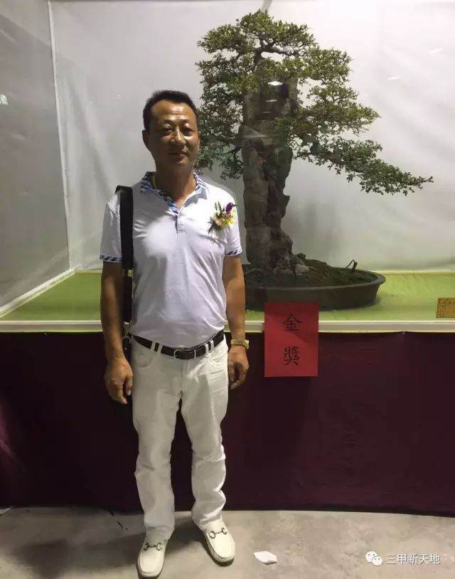 范永正的朴树盆景情怀 