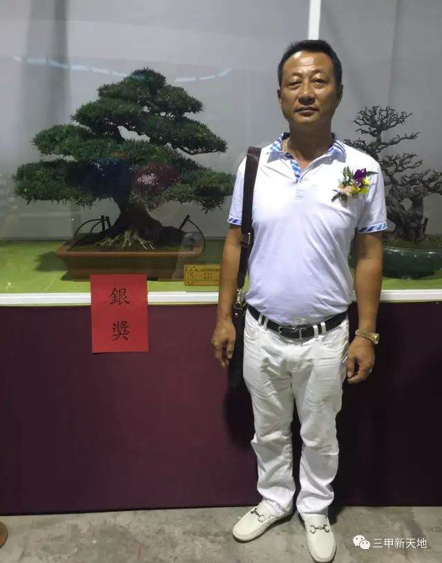 范永正的朴树盆景情怀 