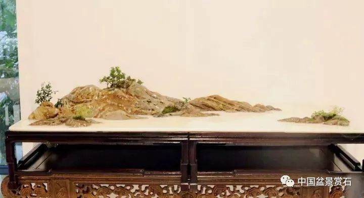 走进中盆协副会长芮新华的盆景世界