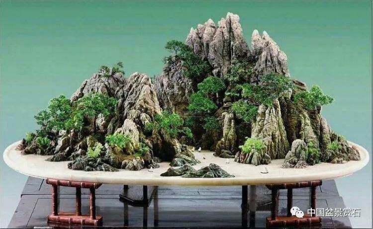 走进中盆协副会长芮新华的盆景世界