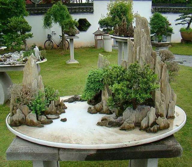 山水盆景的布景要领 全是经验 抓紧学习!