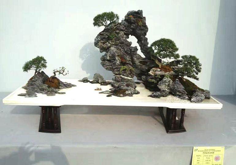 江都成立了盆景协会 并从多方面着手解决