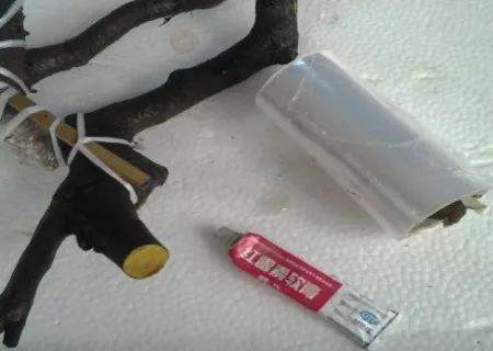 金弹子下山桩的栽培图解法 8幅