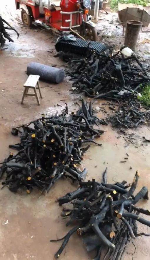 金弹子下山桩 价格便宜 打包卖