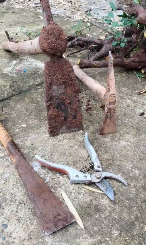 金弹子下山桩 价格便宜 打包卖