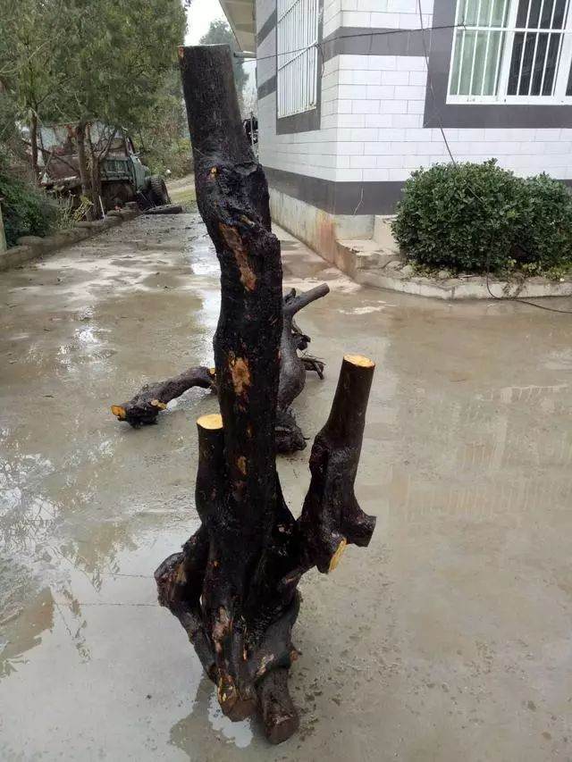 图解 5张 金弹子下山桩造型设计 