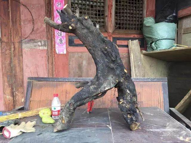 金弹子下山桩怎么造型设计