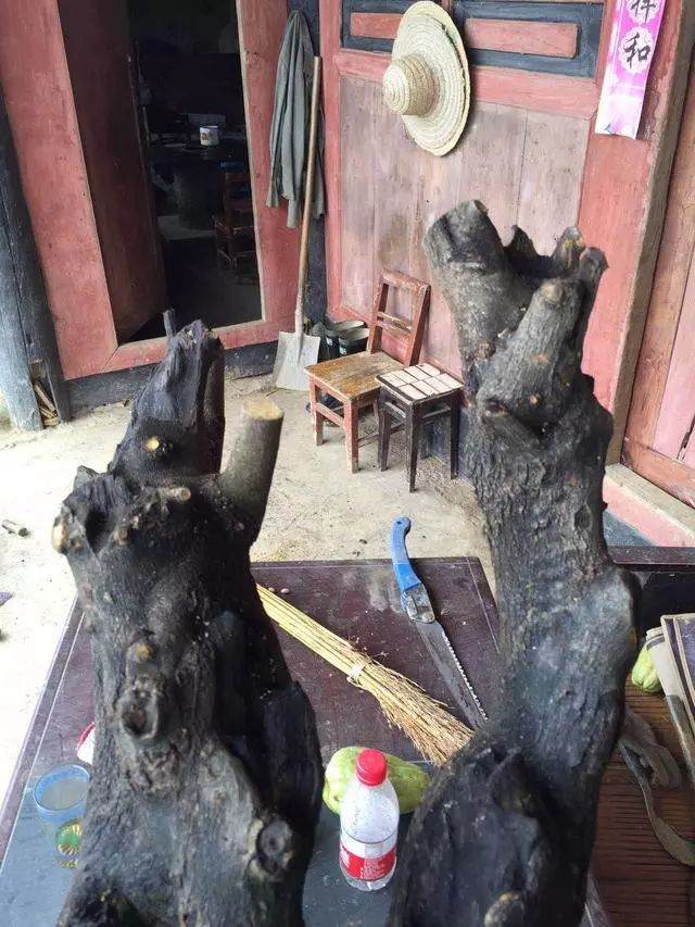 金弹子下山桩怎么造型设计