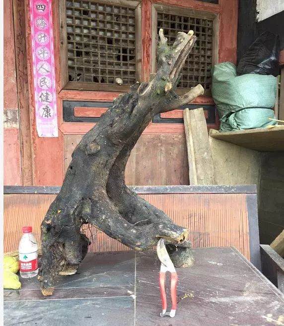 金弹子下山桩怎么造型设计