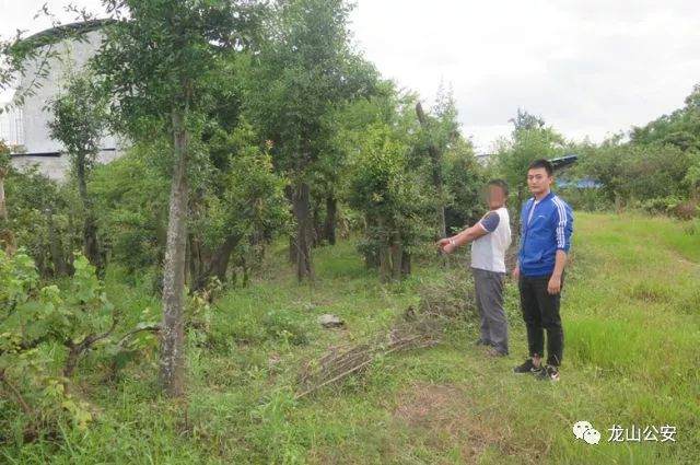龙山警方循线追踪打掉一个盆景盗窃团伙