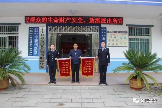 北部警务联动快速破获一起盗窃金弹子盆景案