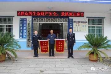 北部警务联动快速破获一起盗窃金弹子盆景案