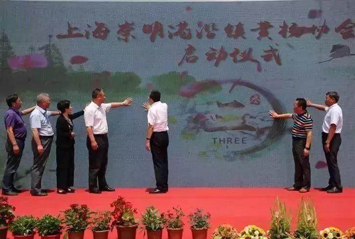 2018年港沿镇黄杨盆景产业发展推进会