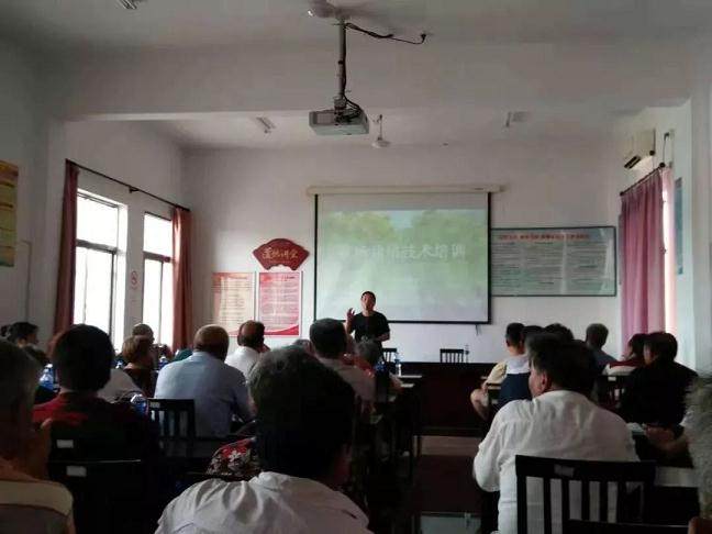 2018年港沿镇黄杨盆景产业发展推进会