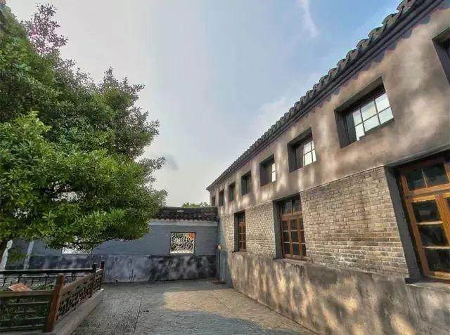 这棵黄杨盆景成为了洋河的镇厂之宝