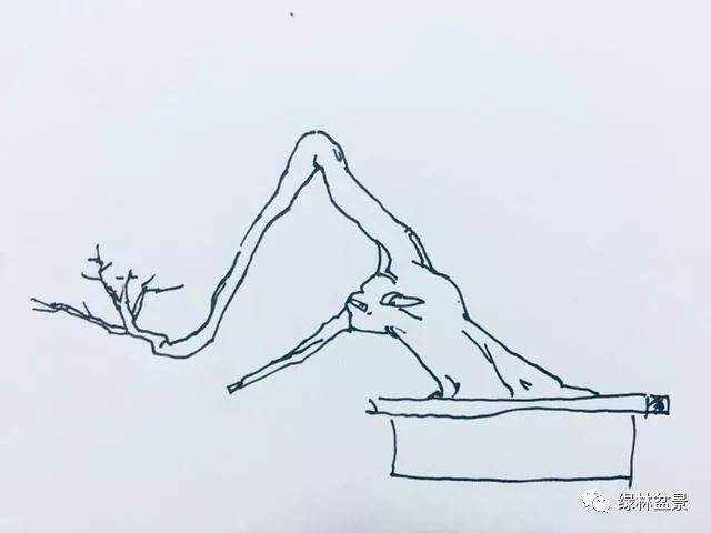 我给黄杨下山桩 设计了9种造型图片