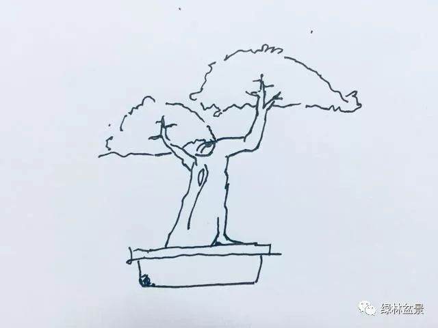 我给黄杨下山桩 设计了9种造型图片