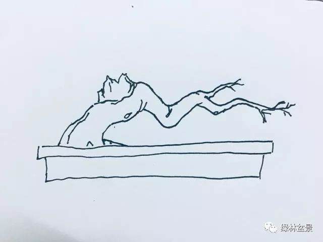 我给黄杨下山桩 设计了9种造型图片