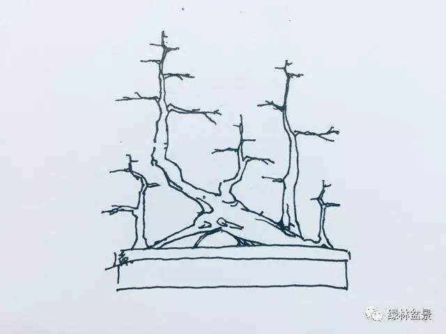 我给黄杨下山桩 设计了9种造型图片
