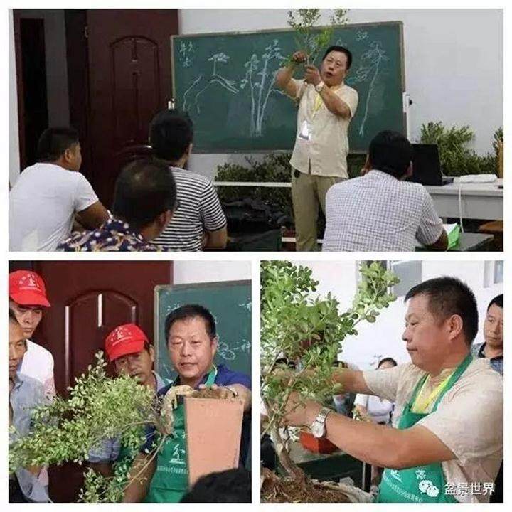 第二届上海国际青年盆景论坛