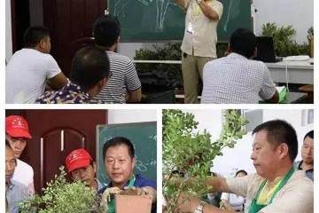 第二届上海国际青年盆景论坛