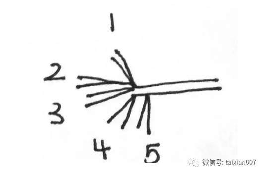 图解 日本黑松盆景怎么短针的方法