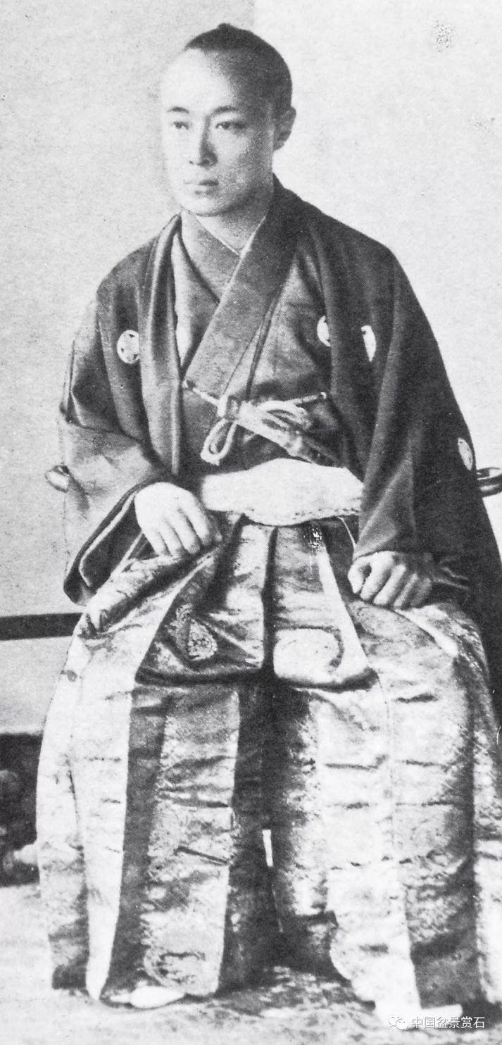 日本德川幕府时代的黑松盆景 你见过吗