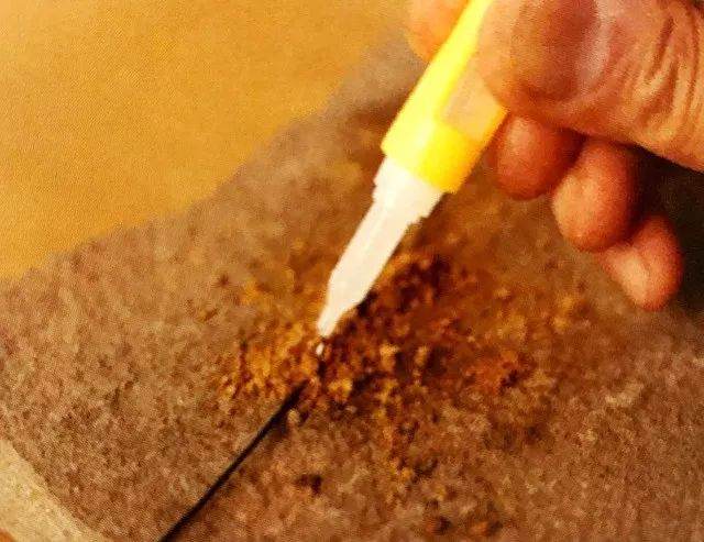 如何在苔藓上制作黑松盆景?用这7个步骤