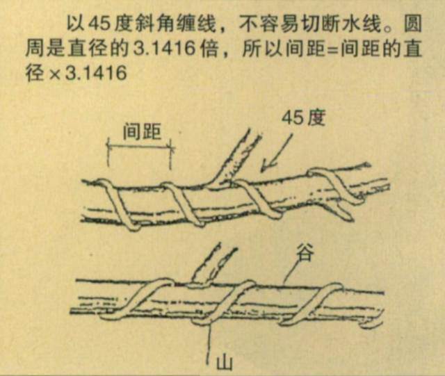 图解 台湾大师演示黑松盆景的造型过程