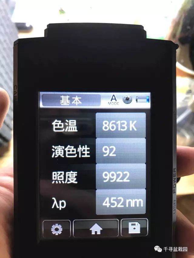 图解 室内养护黑松盆景的过程 16幅