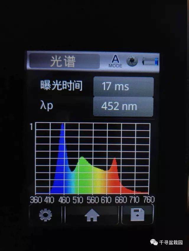 图解 室内养护黑松盆景的过程 16幅