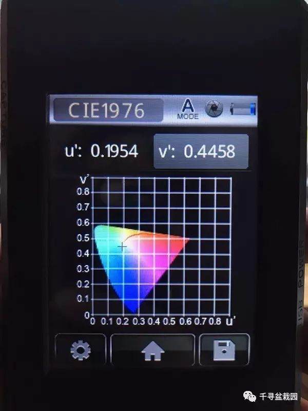 图解 室内养护黑松盆景的过程 16幅