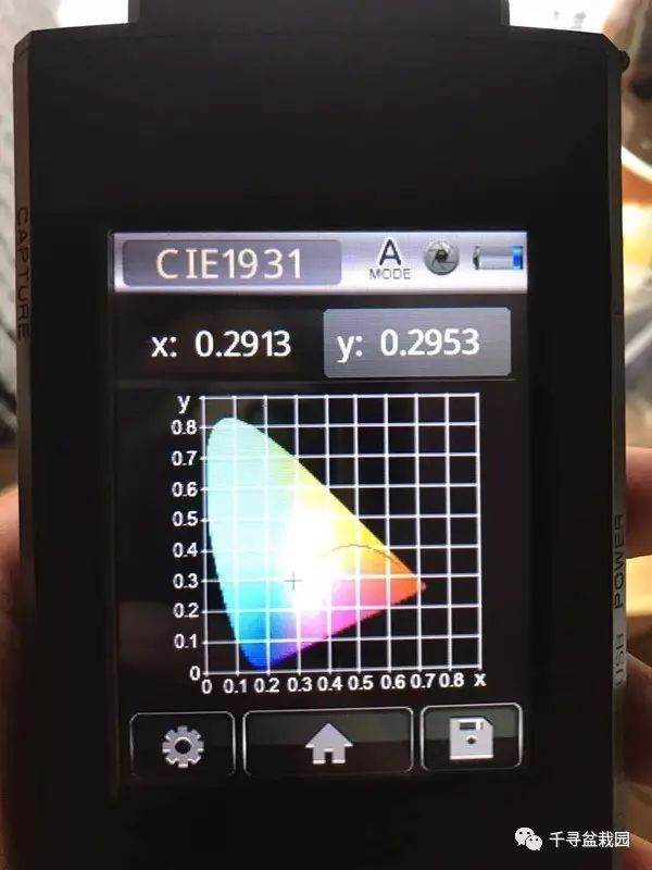 图解 室内养护黑松盆景的过程 16幅