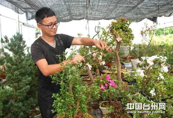 如何把握杜鹃花盆景在夏季的浇水时间?