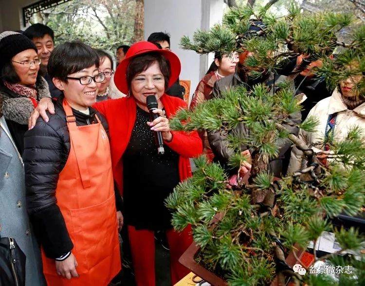 记女性盆景艺术家 -- 冷瑞露