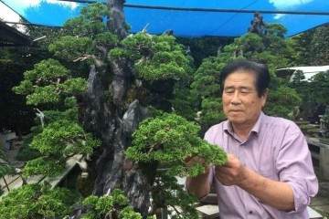 日本盆景艺术家走进木村正彦的盆景世界