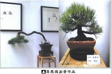 湖北花协盆景分会召开2018年工作总结会