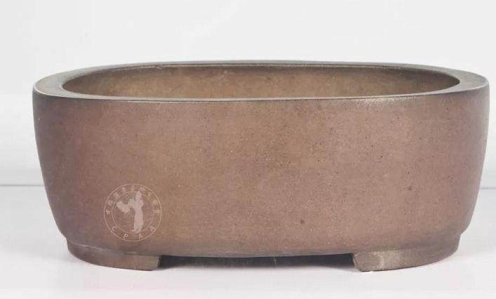 盆景如何配盆 有3个技巧 学会很实用