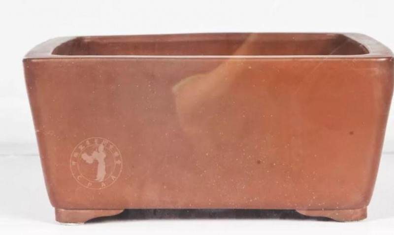 盆景如何配盆 有3个技巧 学会很实用