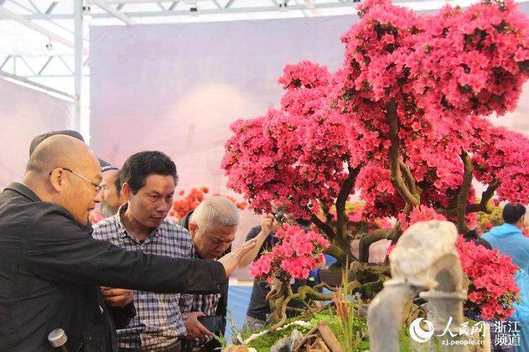 盆景帝国的基础课程回顾