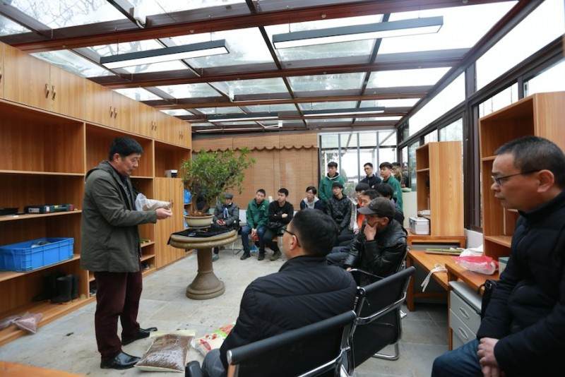 杜鹃盆景的修剪和换盆