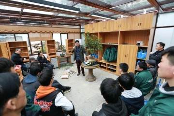 图解 杜鹃盆景怎么修剪换盆的21个过程