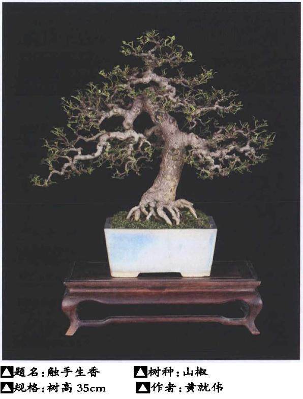 中国盆景在国际市场的发展概况