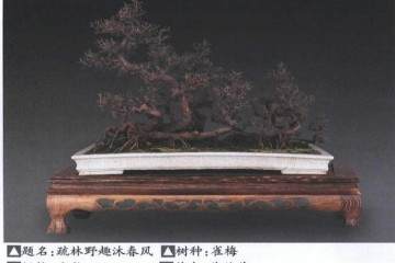 中国盆景的出入境检疫要求