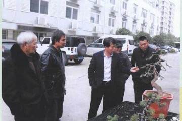 宁波市北仑区盆景协会召开2019年会员大会