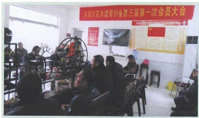 2018年 洪湖市花木盆景协会召开换届选举大会