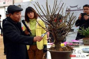 湖北钟祥盆景花木盆景协会研讨会举办首届盆景作品展