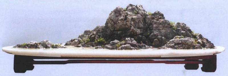 我制作山水盆景的制作后感