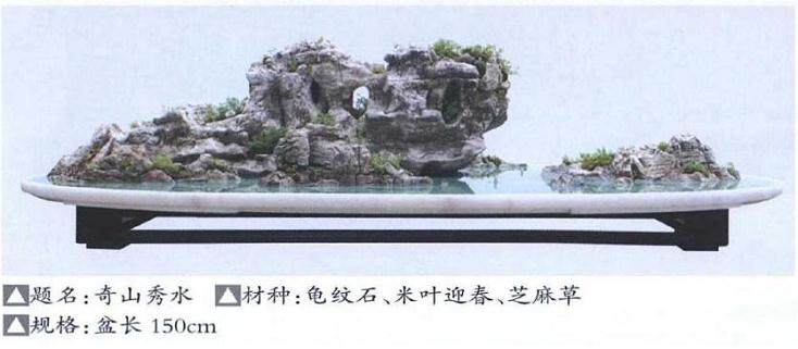 我制作山水盆景的制作后感
